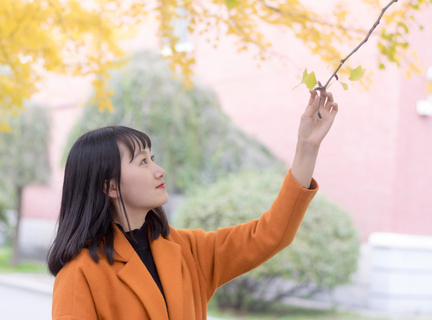 菲律宾航空大学申请条件(航空大学最新政策)